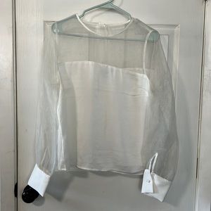 Express Large sheer sleeve top